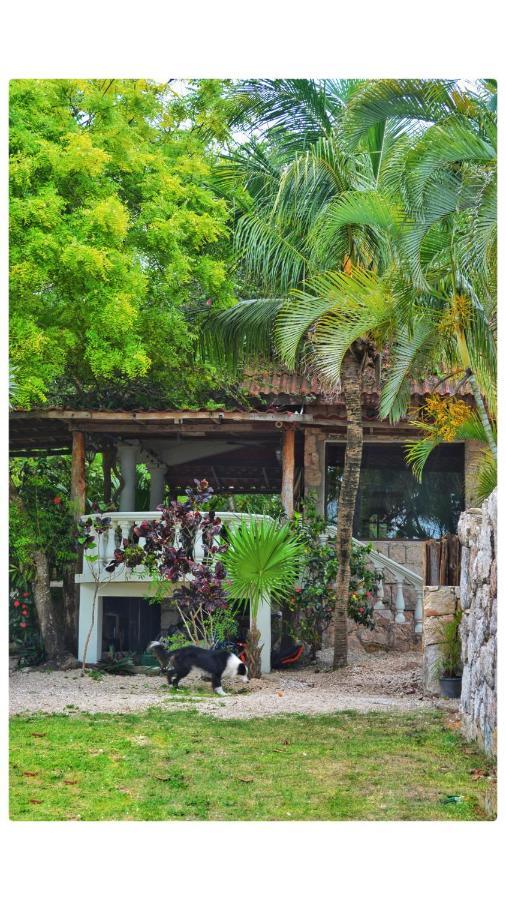 Tortuga Bacalar Bed & Breakfast ภายนอก รูปภาพ