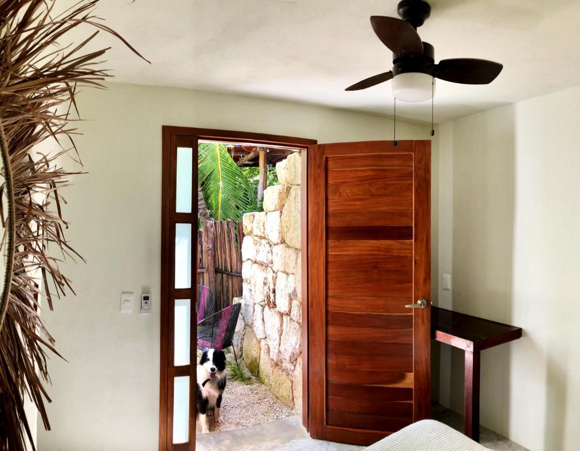 Tortuga Bacalar Bed & Breakfast ภายนอก รูปภาพ