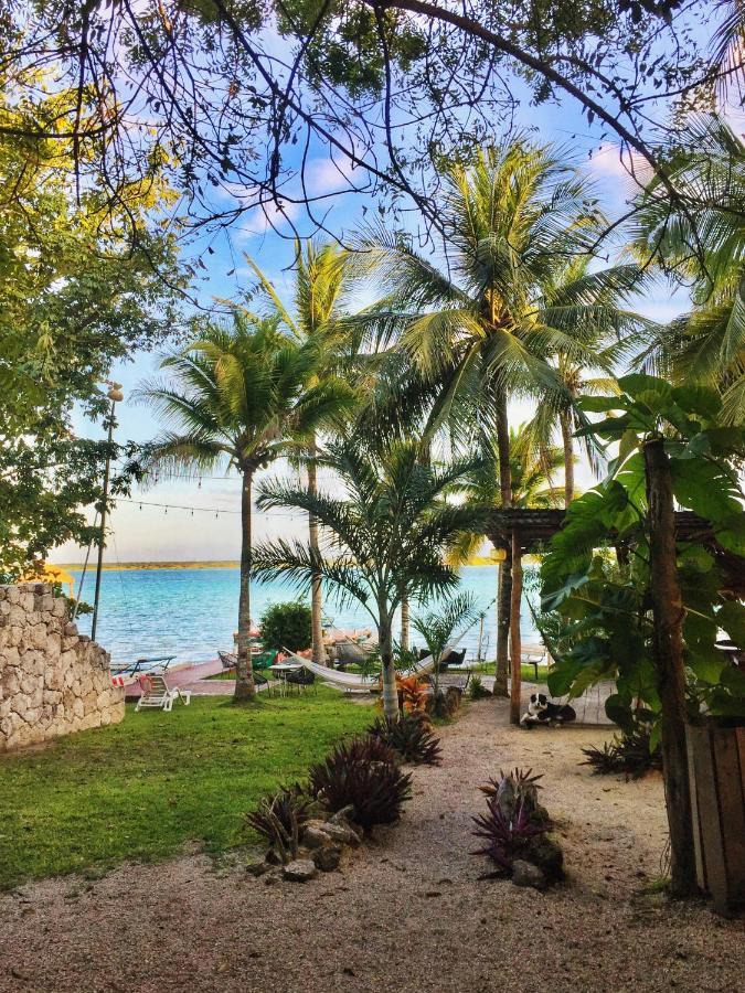 Tortuga Bacalar Bed & Breakfast ภายนอก รูปภาพ