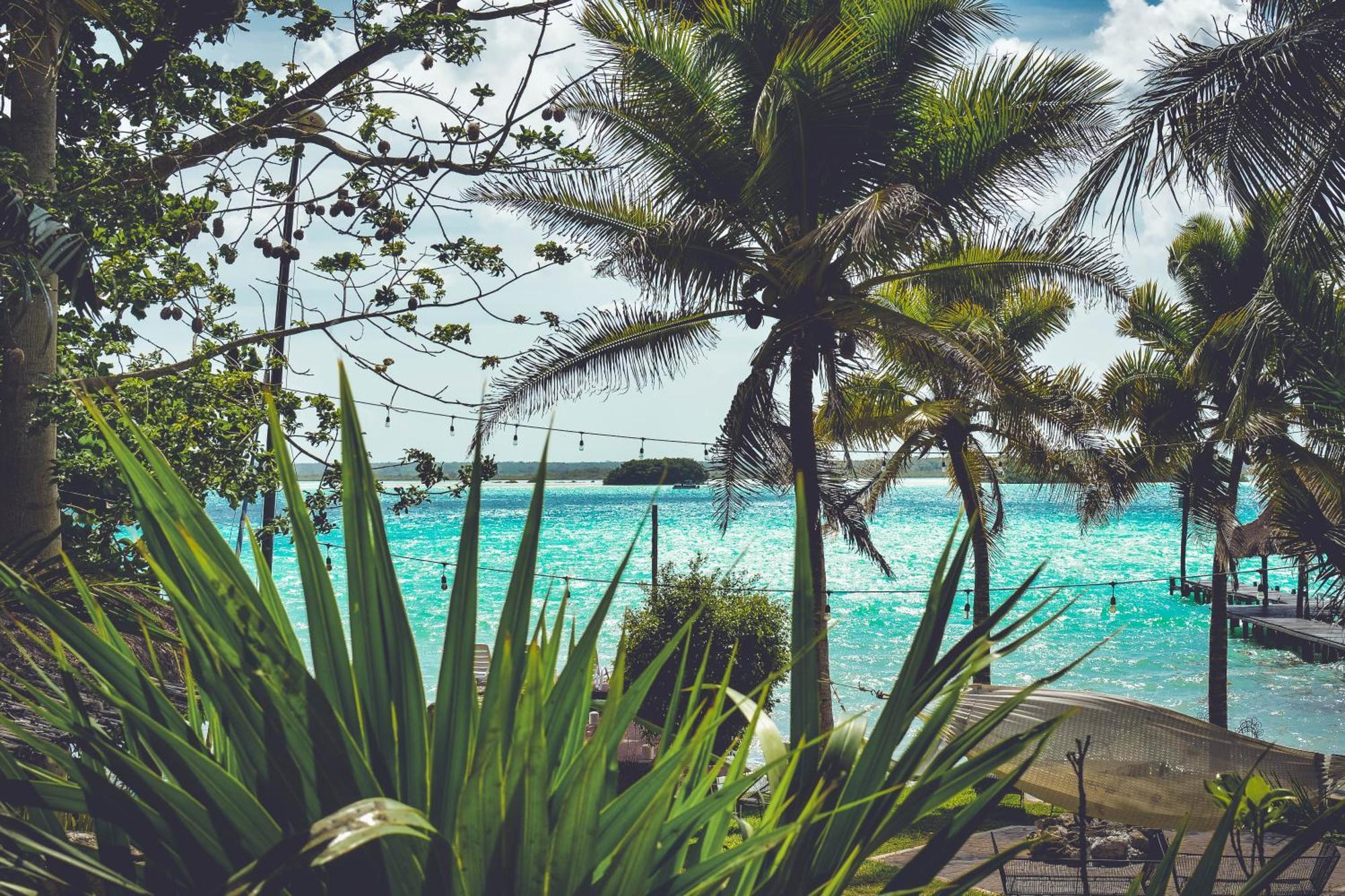 Tortuga Bacalar Bed & Breakfast ภายนอก รูปภาพ